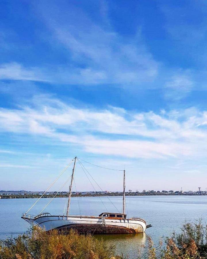 Studio 237 Port Camargue, Piscine, Climatisation, 2 Personnes Le Grau-du-Roi Ngoại thất bức ảnh